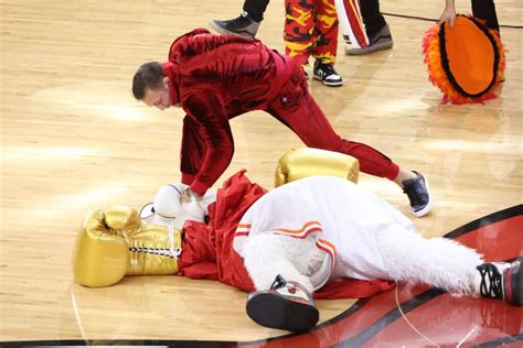 Mascot punched by conor